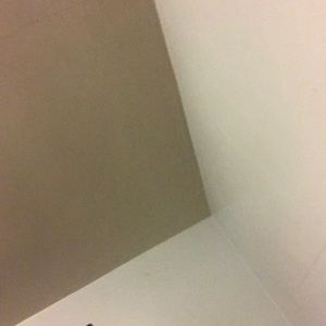 Meet your Posher, Autumn